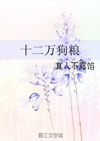 十二万狗粮