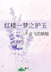 红楼一梦之护玉